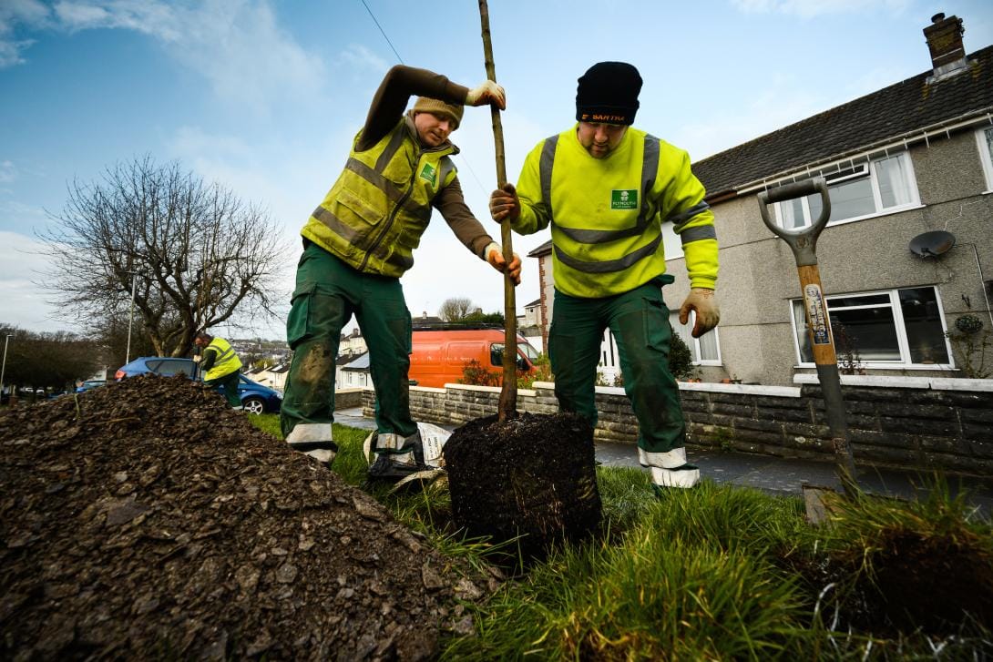 Wood you believe it - Plymouth gets Tree City of the World status
