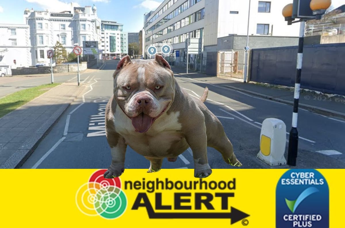 Police appeal after "XL bully" dog attacked chihuahua, and owner "assaulted"
