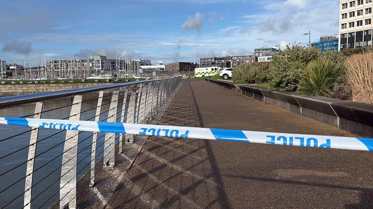 Murder arrest after body of man aged 24 found by police after major search in Millbay Marina area