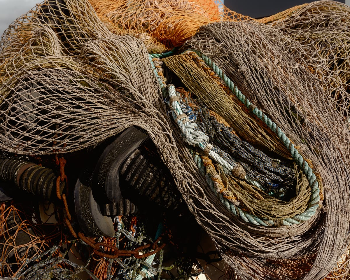 Virtual fishmonger planned to reconnect Plymouth with its daily catch