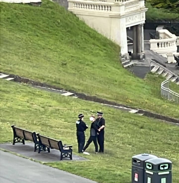 Teenager arrested on Hoe and weapon seized